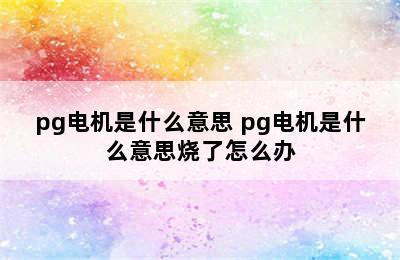 pg电机是什么意思 pg电机是什么意思烧了怎么办